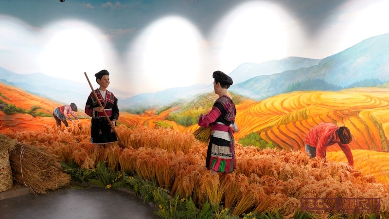 如何利用展覽廳設(shè)計(jì)來展示不同文化和宗教的藝術(shù)和文物？