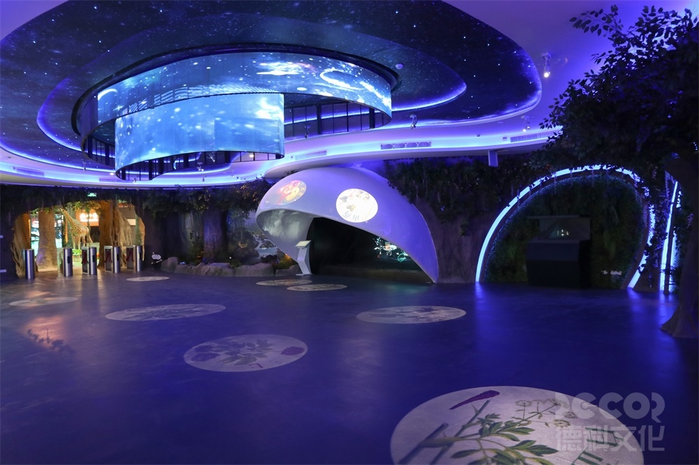 如何在自然展館裝修中創(chuàng)建可參與的活動(dòng)空間？